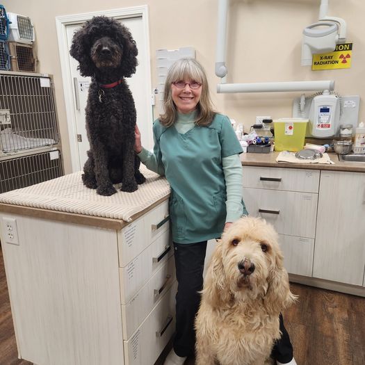 Dr. Meg Lainson with a patient
