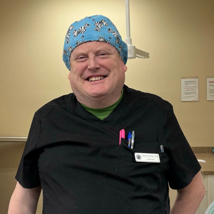 Dr. Phil Stacey, founder, with a patient